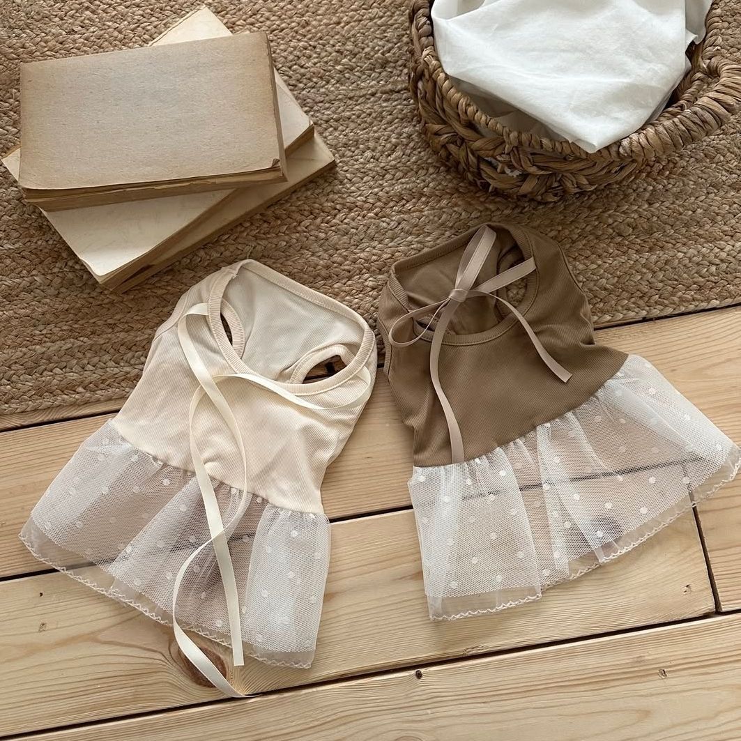 Frühlings- und Sommer-Haustier – Lace Teddy Lingerie Bewertung und Preis